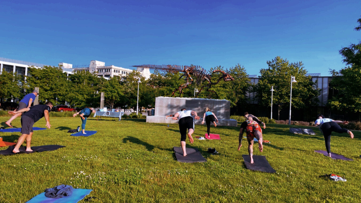 Free Health & Wellness Programming to Begin in April - Navy Yard